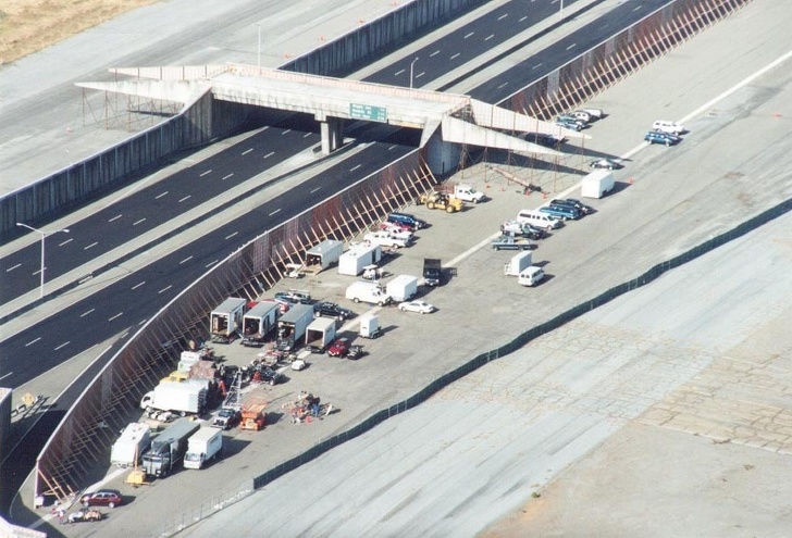 ���������: ������������